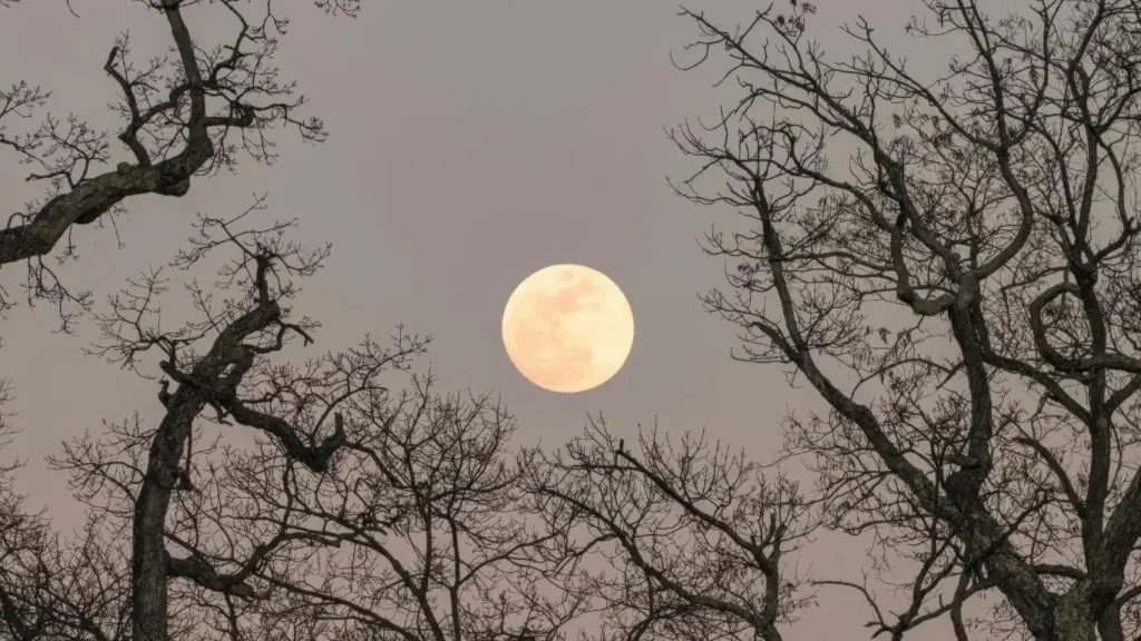 why do I feel different during full moon